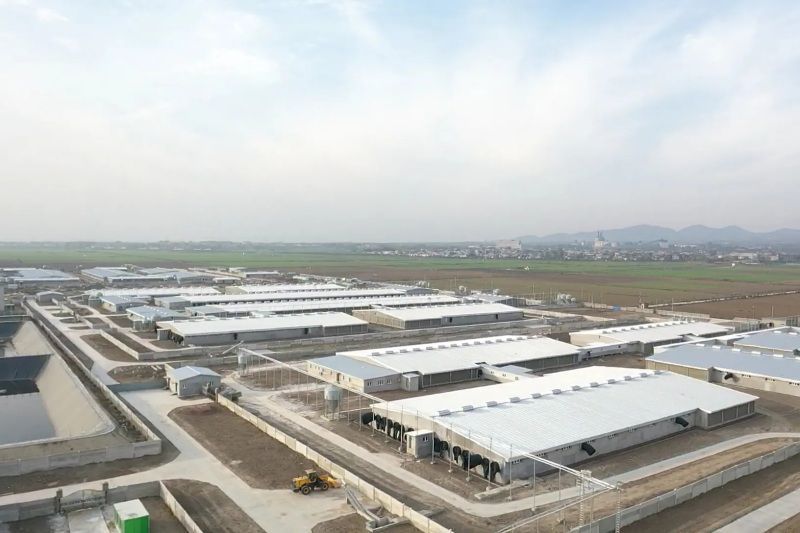鄭州諾普助力河南牧原股份公司汝州產業(yè)園